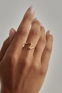 18k Gold Vermeil Gold Flow Of Life Ring