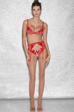 Lily Embroidery Plunge Demi Bra Rouge