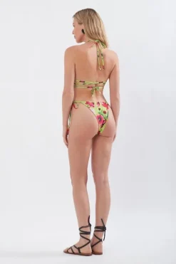 Zahri Bikini Briefs